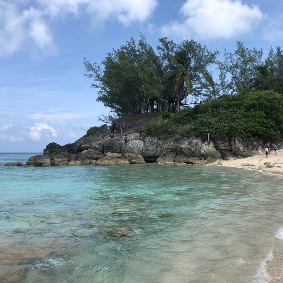 Meet your Posher, Sabrina - Picture 2 of 2